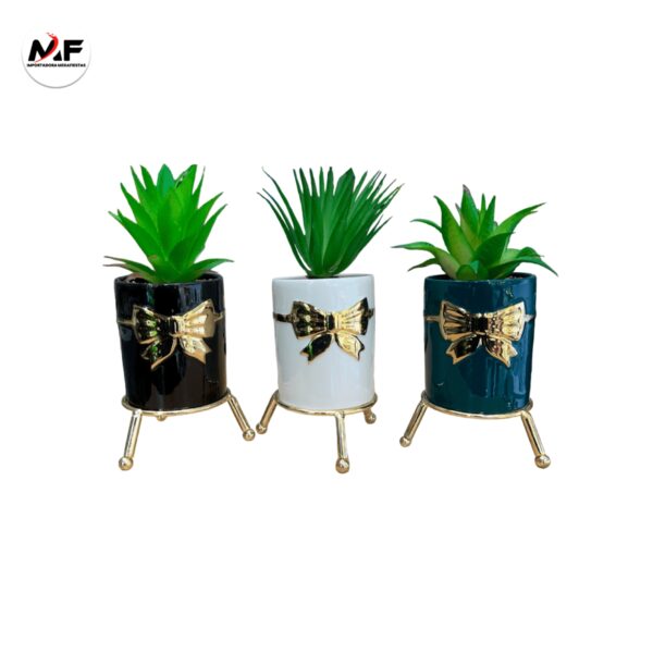 PLANTA DECORATIVA