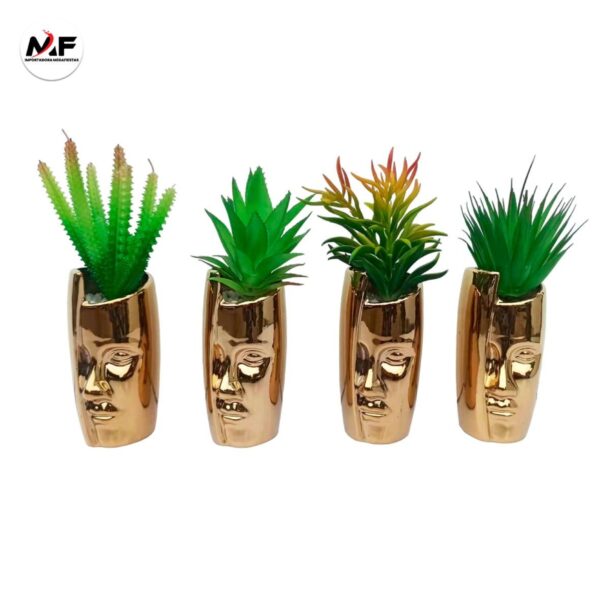 PLANTA DECORATIVA