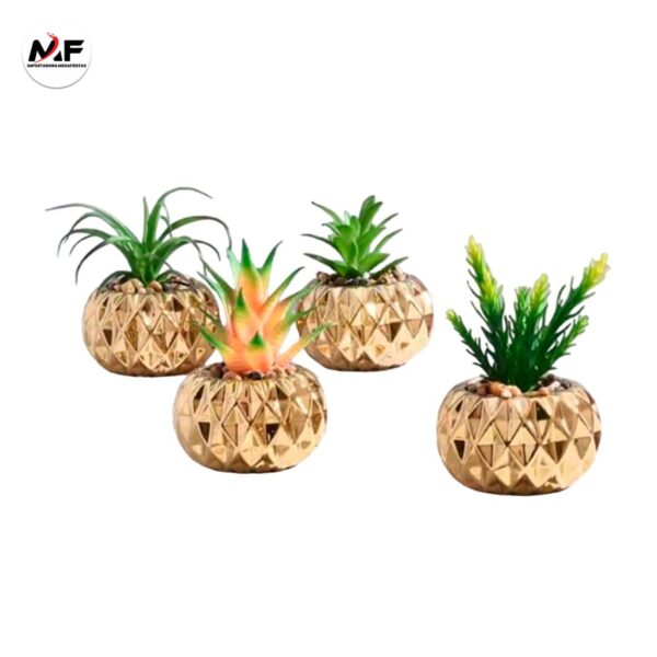 PLANTA DECORATIVA