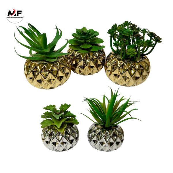 PLANTA DECORATIVA