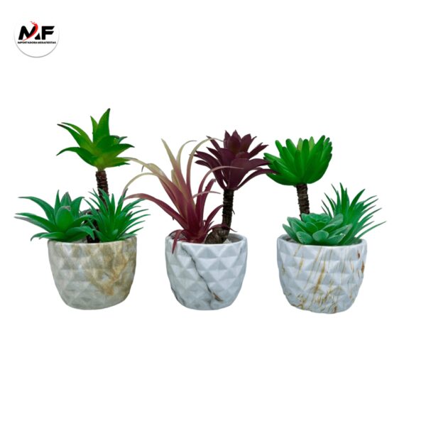 PLANTA DECORATIVA
