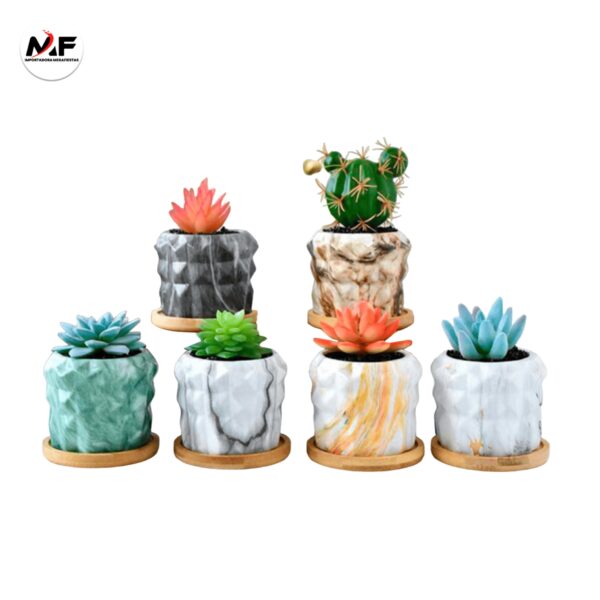 PLANTA DECORATIVA