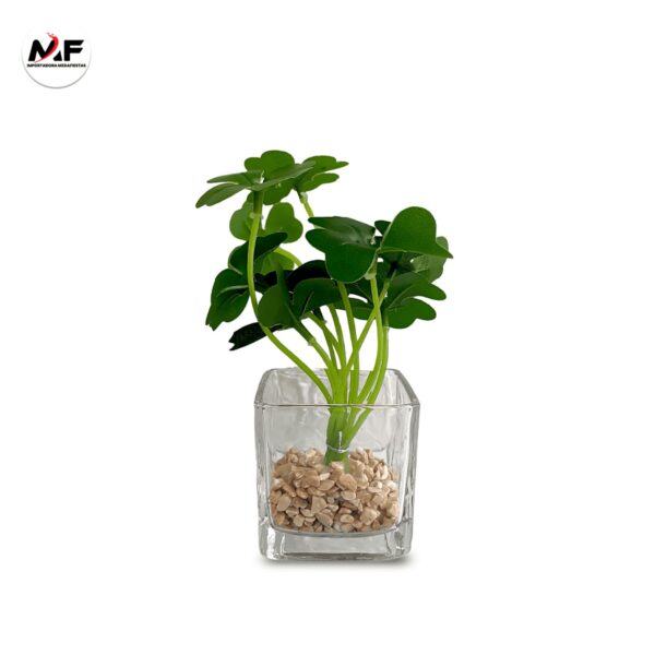 PLANTA DECORATIVA