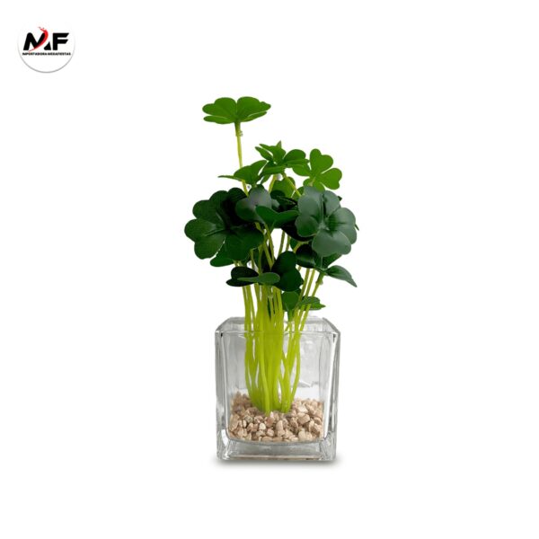 PLANTA DECORATIVA