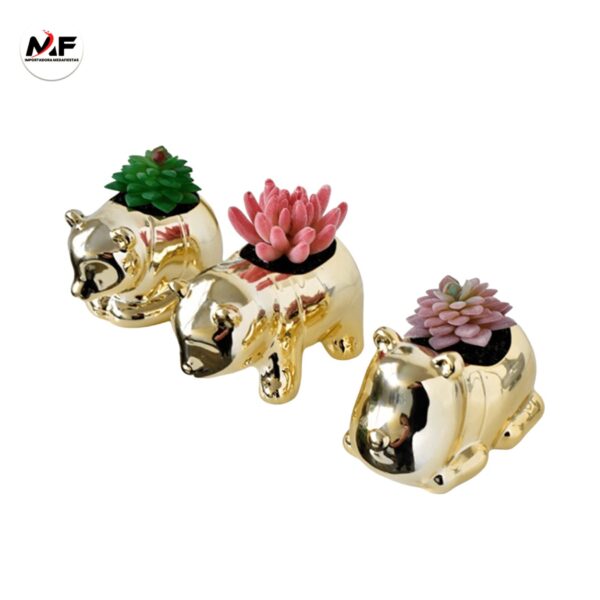 PLANTA DECORATIVA