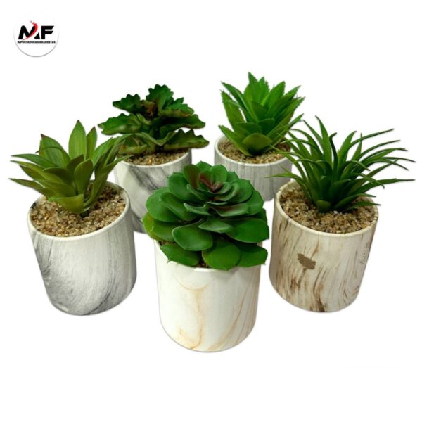 PLANTA DECORATIVA