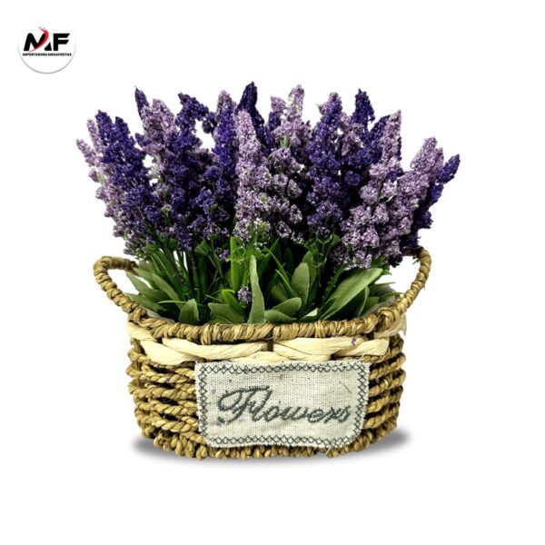 PLANTA DECORATIVA