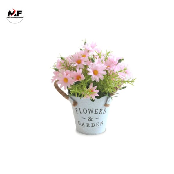 PLANTA DECORATIVA