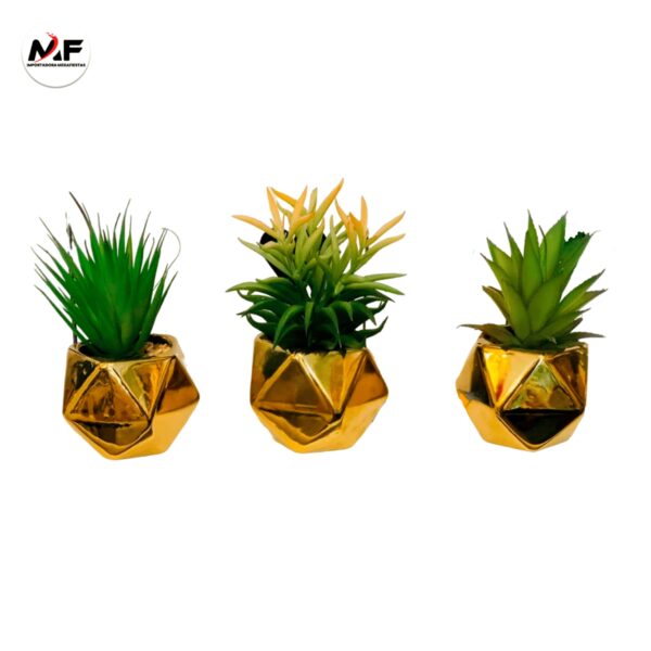 PLANTA DECORATIVA