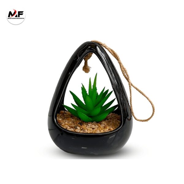 PLANTA DECORATIVA