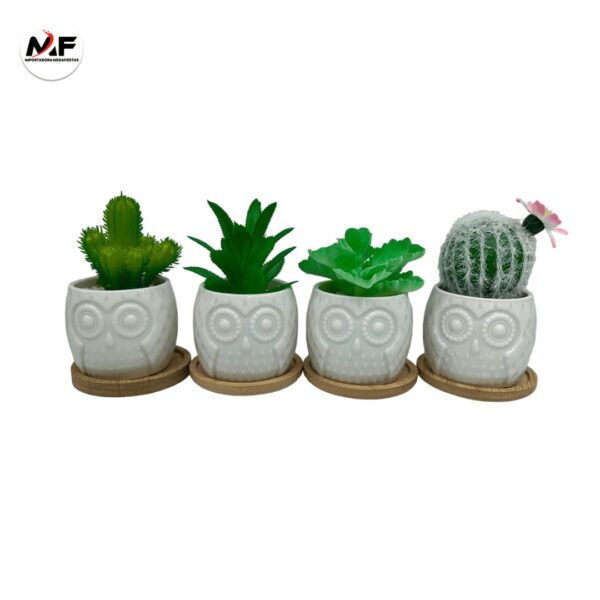 PLANTA DECORATIVA