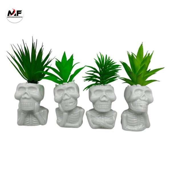 PLANTA DECORATIVA