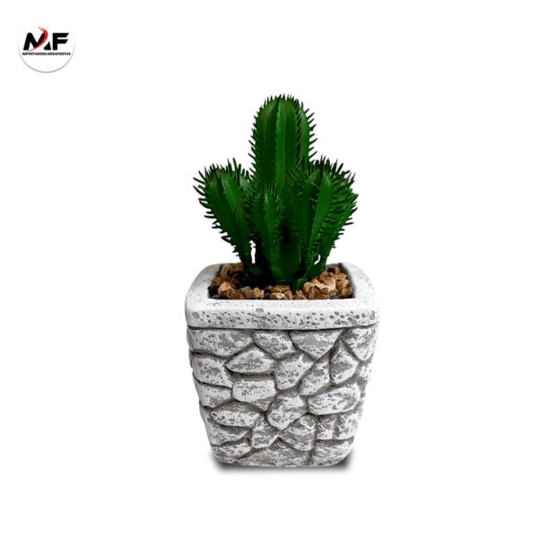 PLANTA DECORATIVA