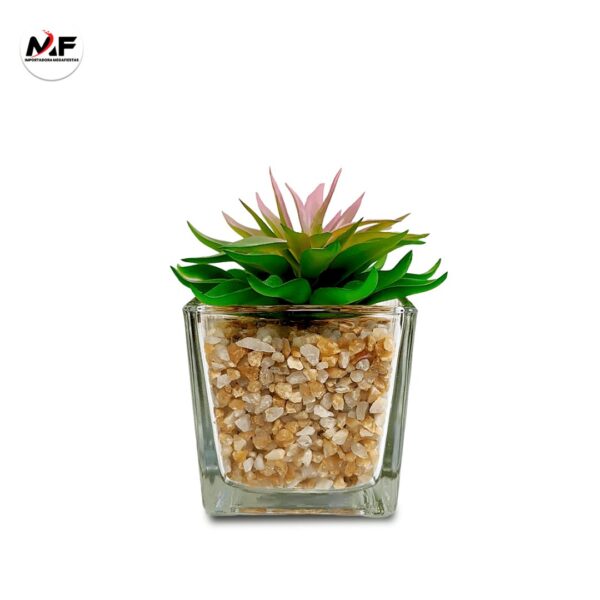 PLANTA DECORATIVA