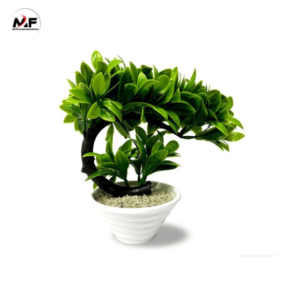 PLANTA DECORATIVA