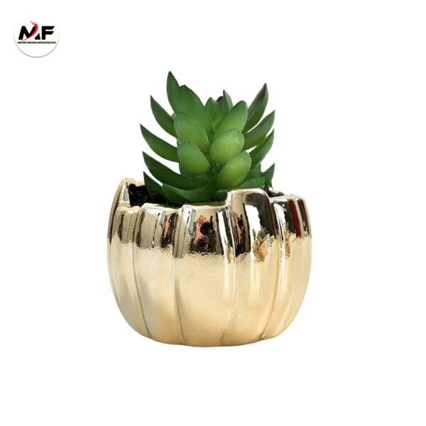 PLANTA DECORATIVA