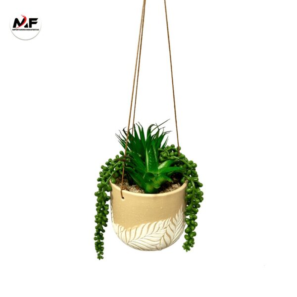 PLANTA DECORATIVA