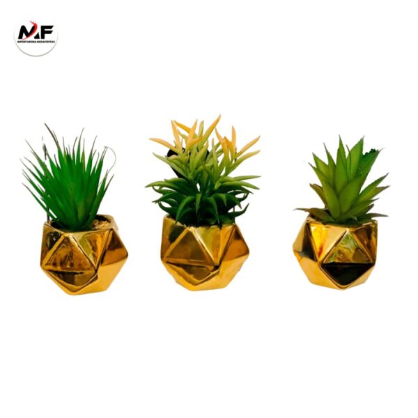 PLANTA DECORATIVA
