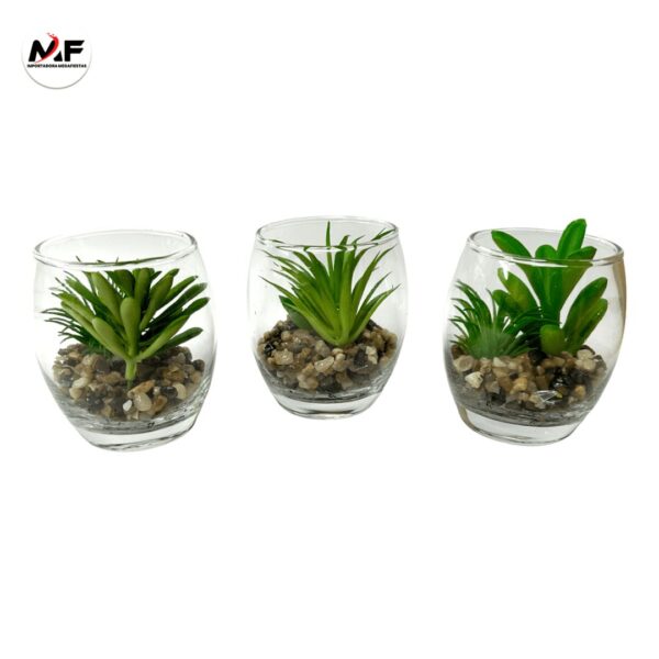 PLANTA DECORATIVA