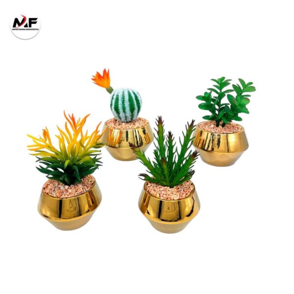 PLANTA DECORATIVA