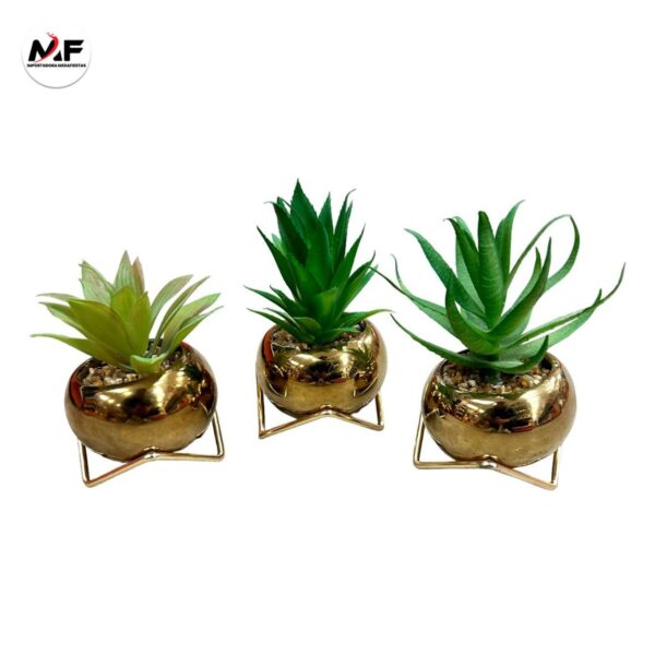 PLANTA DECORATIVA