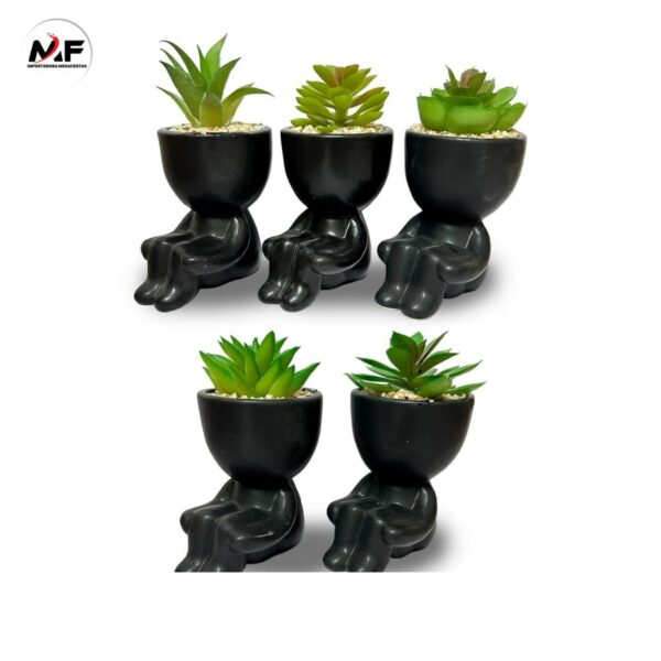 PLANTA DECORATIVA
