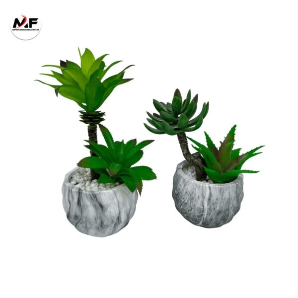 PLANTA DECORATIVA
