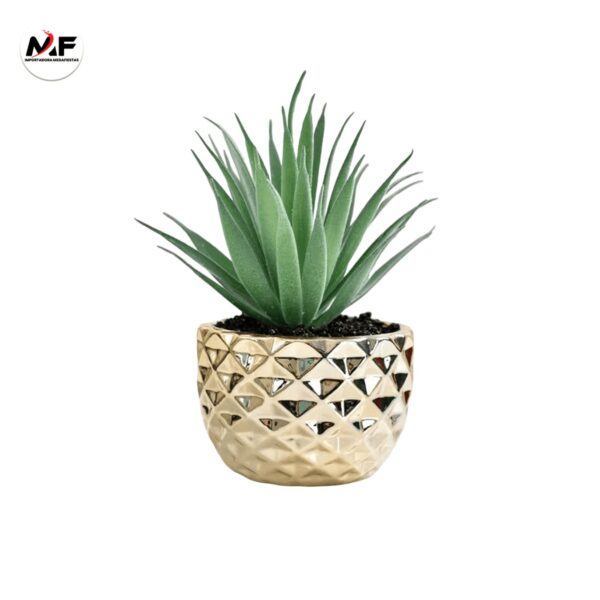 PLANTA DECORATIVA