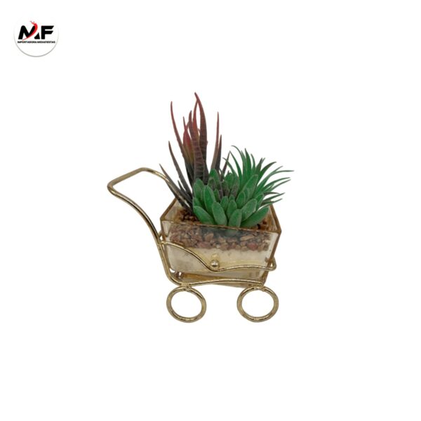 PLANTA DECORATIVA